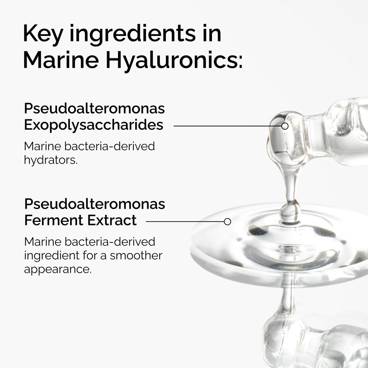marine-hyaluronics-p3 FY25-D41247-ORD-Web-PDP-Marine-Hya-1x1-EN-2a.jpg