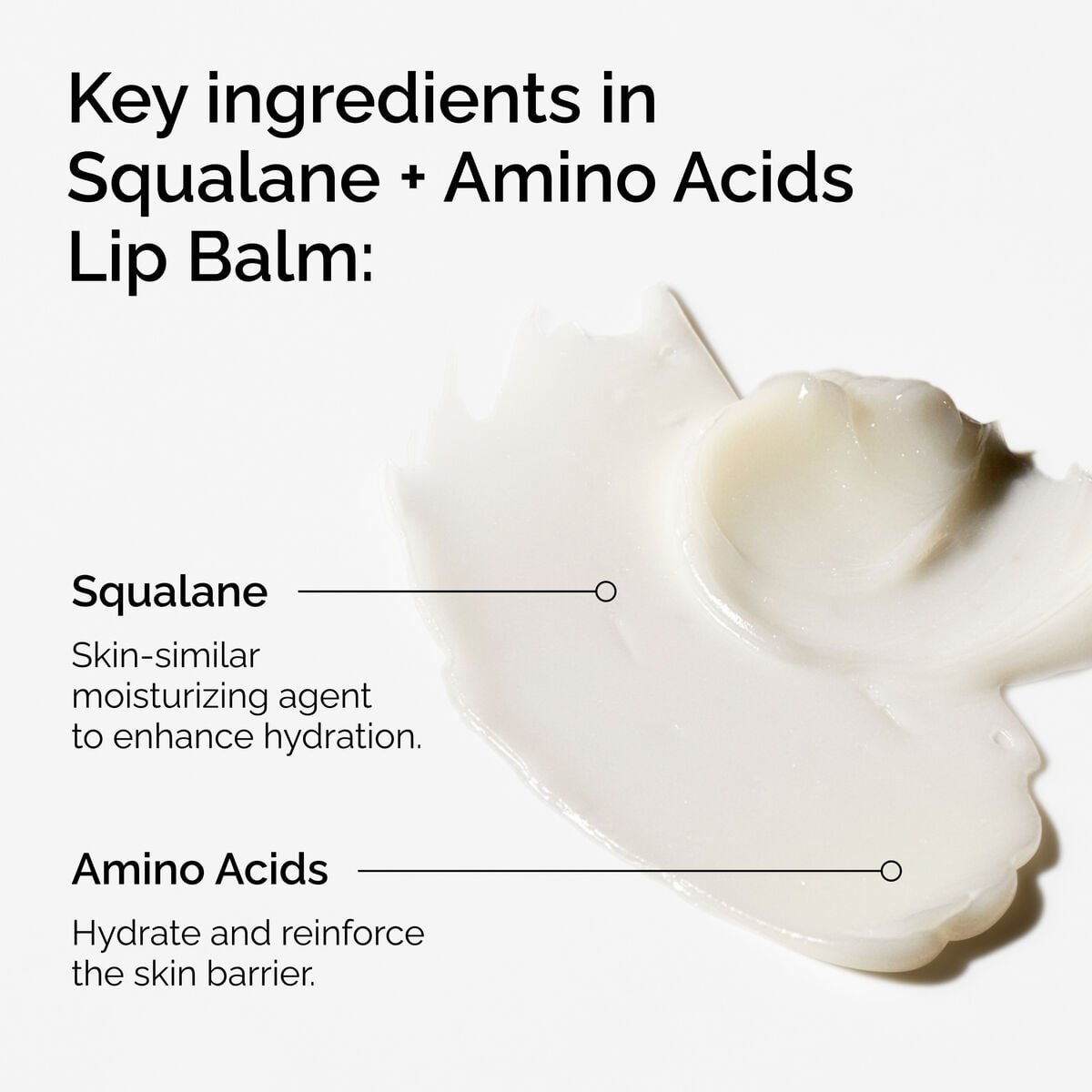 squalane-amino-acids-lip-balm-c3 FY25-D41247-ORD-Web-PDP-Sql-Amino-Lip-1x1-EN-2a.jpg