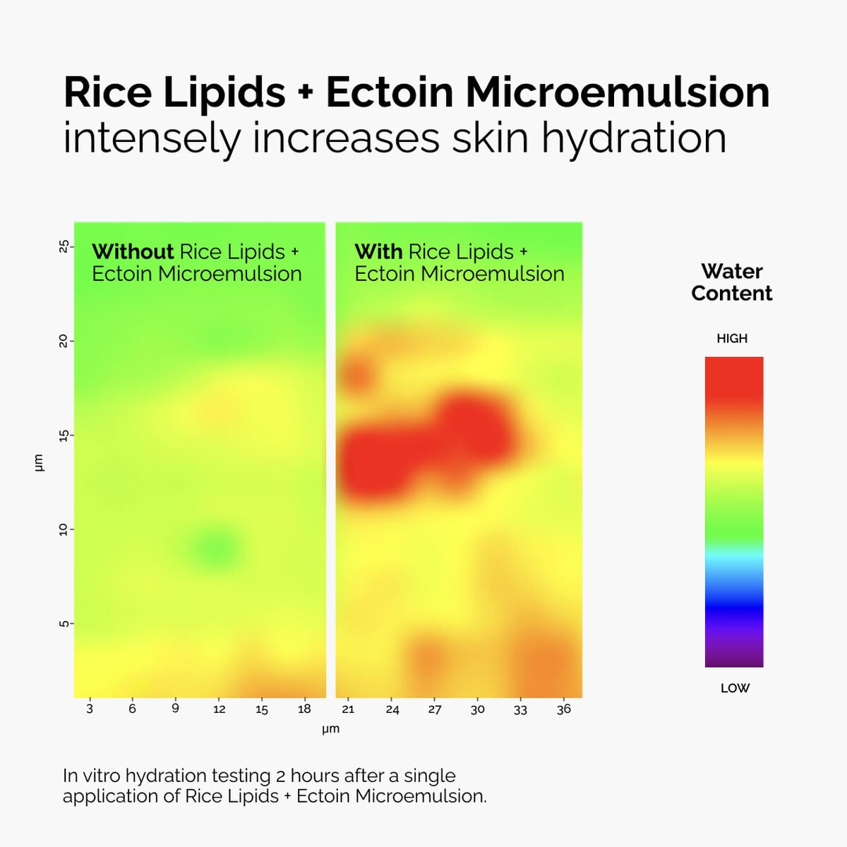 rice-lipids-ectoin-microemulsion-c2 ord-rice-lipids-ectoin-microemulsion-thermal-before-after.jpg